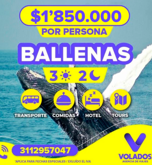 ballenas ok